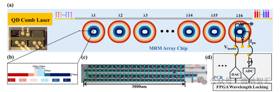 图｜M2A.4　量子点梳状激光器驱动的多波长发射器系统示意：量子点梳状激光器（QD Comb Laser）作增益光源，输出 16 条波长（λ1–λ16）注入硅光微环调制器阵列（MRM Array Chip，芯片长约 3000 µm，截面含 N⁺/N⁺⁺/P/P⁺ 掺杂与 400/220/70 nm 关键尺寸），并由光电探测器 + FPGA + 加热器构成波长锁定反馈，逐通道稳住每一波长。